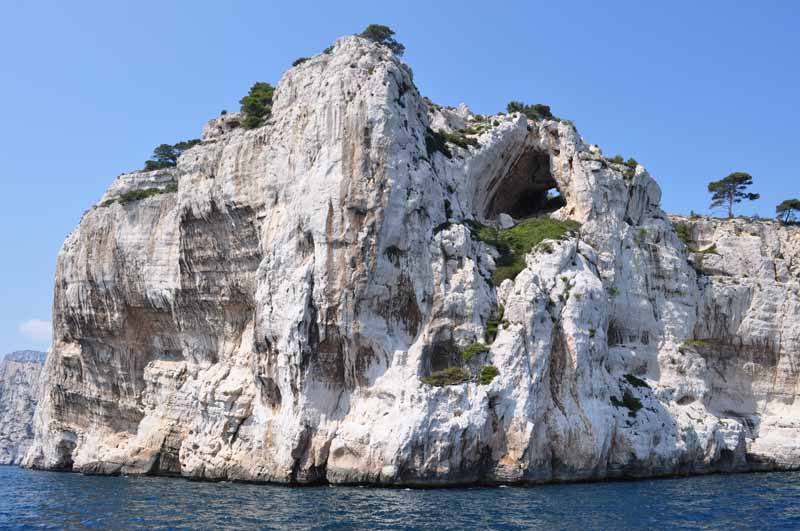 ZCassis271.jpg