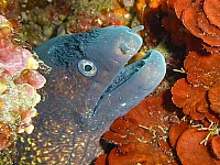 Cassis1070907.jpg