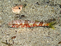 IMG_0679.jpg