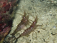 IMG_0680.jpg