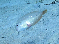IMG_0792.jpg